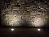 DSCF2061